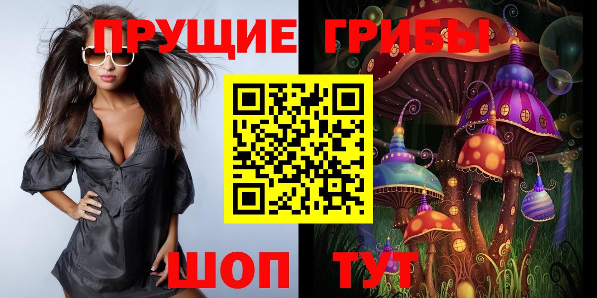 Галлюциногенные грибы Psilocybine cubensis Унеча