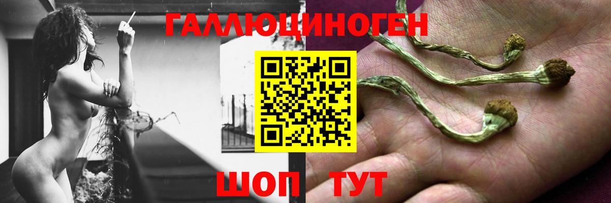 Псилоцибиновые грибы Psilocybe  Вход с VPN  купить наркотик  Унеча 